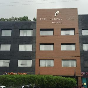 The Purple Leaf Hotels